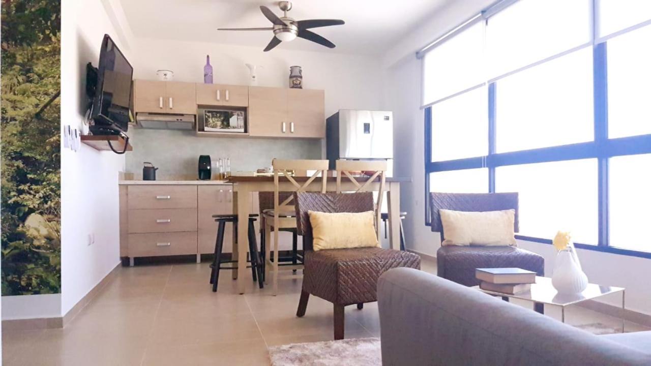 Nice And Centric Apartment 신데 델 카르멘 외부 사진